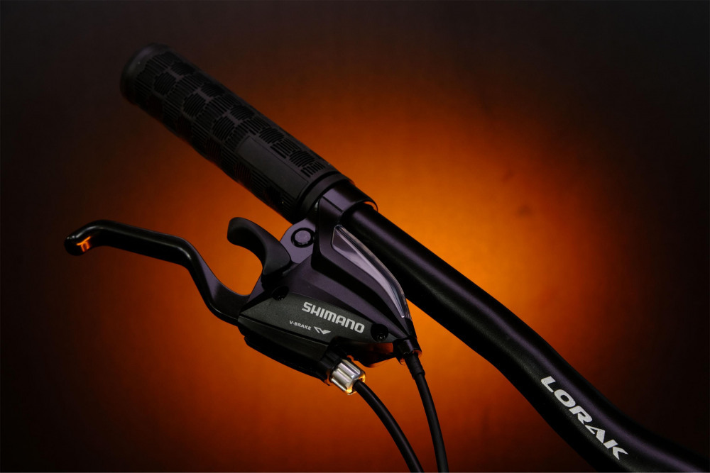 LORAK Fast Brown 29 Матовый Чёрный рама 17 (на рост 165-175)