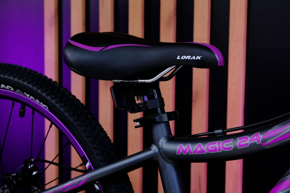 Lorak Magic 24 Серый/Фиолетовый